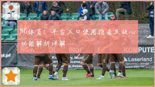 NG体育：平台入口使用指南及核心功能解析详解