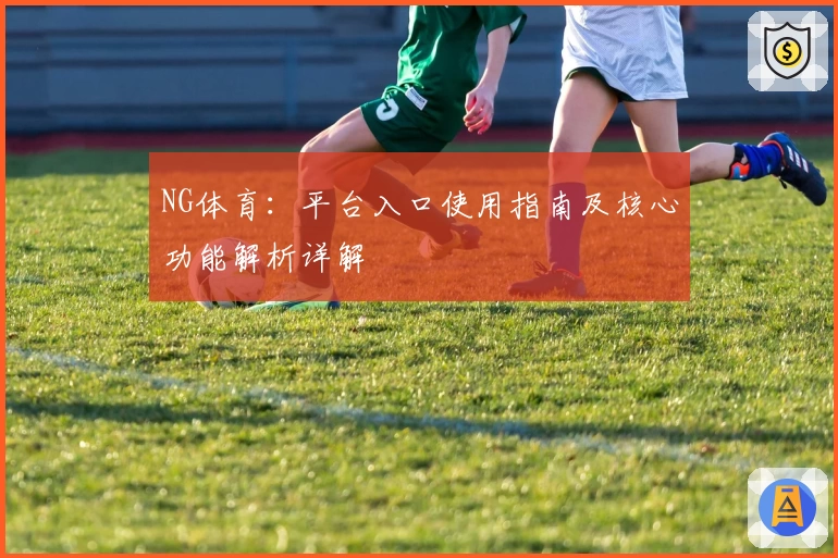 NG体育：平台入口使用指南及核心功能解析详解
