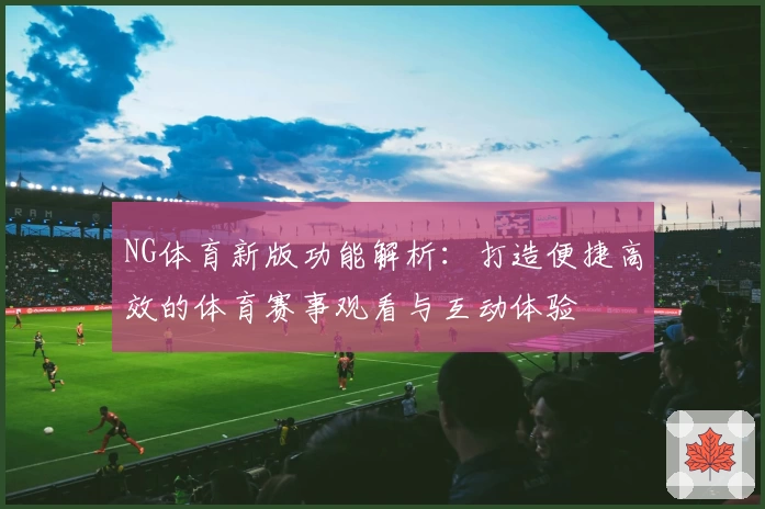 NG体育新版功能解析：打造便捷高效的体育赛事观看与互动体验